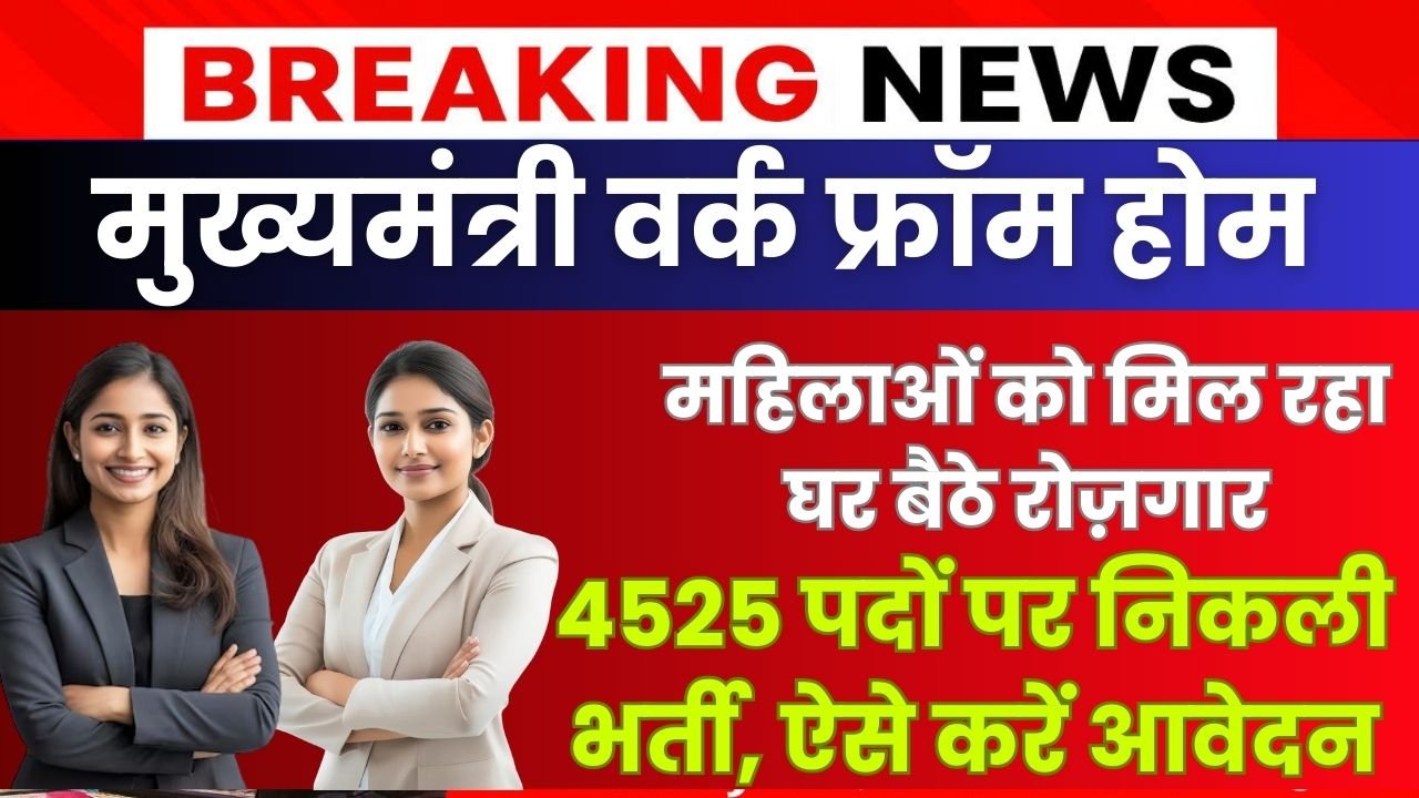 CM Work From Home Yojana 2025